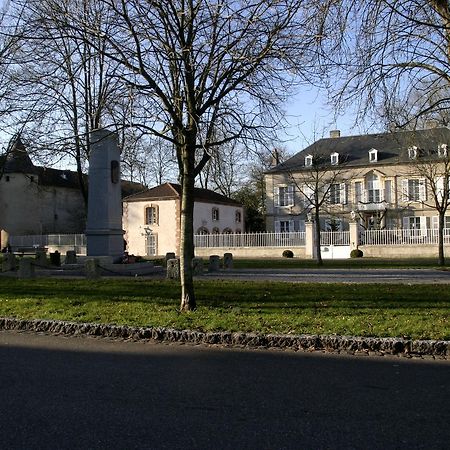 Chateau Mesny Vic-sur-Seille Luaran gambar